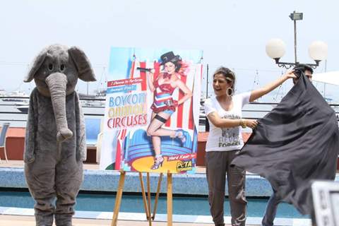 Launch of new Ad with Hard Kaur for World Circus Day