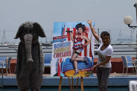 Launch of new Ad with Hard Kaur for World Circus Day