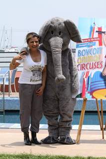 Launch of new Ad with Hard Kaur for World Circus Day