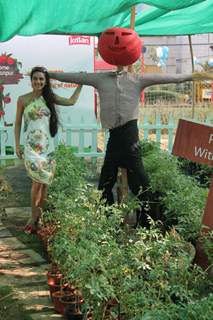 Bollywood actress Tara Sharma promotes Kissan at Malad. .