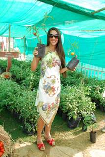 Tara Sharma promotes Kissanpur - A farm in the Middle of City