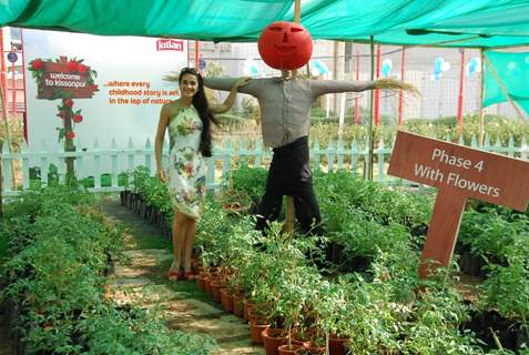 Tara Sharma promotes Kissanpur - A farm in the Middle of City