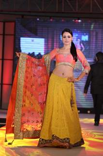 Pidilite CPAA fashion show