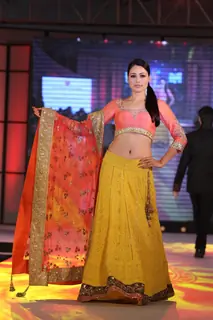 Pidilite CPAA fashion show