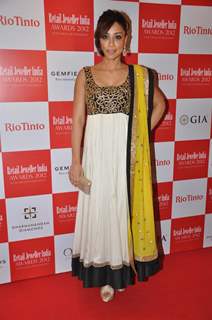 '8th Annual Gemfields RioTinto Retail Jeweller India Awards 2012 Meet