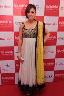 '8th Annual Gemfields RioTinto Retail Jeweller India Awards 2012 Meet