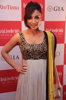 '8th Annual Gemfields RioTinto Retail Jeweller India Awards 2012 Meet