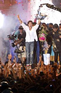 Bollywood actors celebrating Dahi Handi festival