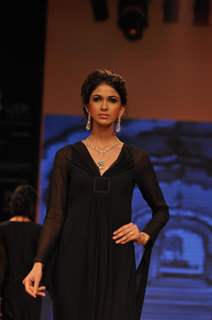 Ganjam show at IIJW 2012 at Hotel Grand Hyatt in Kalina, Mumbai