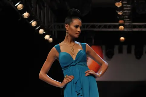 Dynamic International show at IIJW 2012