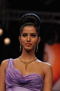 Dynamic International show at IIJW 2012