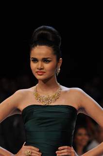 Dynamic International show at IIJW 2012