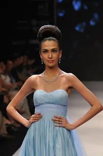 Dynamic International show at IIJW 2012