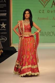 Amrita Rao walks the ramp for Agni Gold Jewels