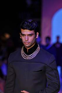 Anmol Jewellers show at IIJW 2012