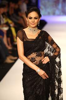 Kays Jewels presented timeless elegance at the IIJW 2012