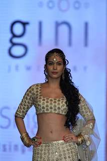 Gitanjali Gems show on Day 4 of IIJW 2012