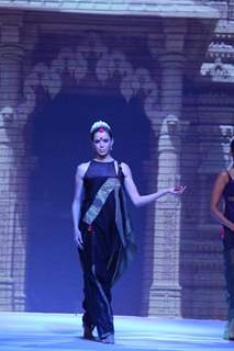 Gitanjali Gems show on Day 4 of IIJW 2012