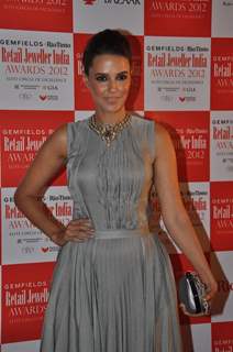 Gemfields' & Rio Tinto's Retail Jeweller India Awards 2012