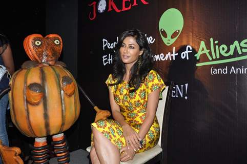 Chitrangda Singh Stars in Peta And Joker AD Against Testing Cosmetics on Animals