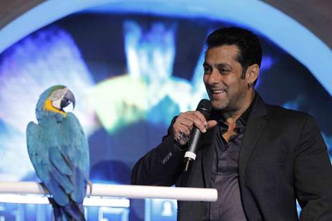 Bigg Boss Season 6 Salman Khan at Triden