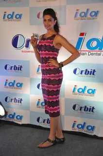 Deepika at 'IDA-Orbit' press meet
