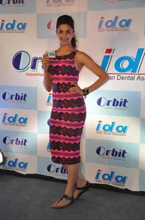 Deepika at 'IDA-Orbit' press meet