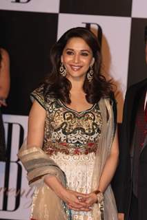 Madhuri Dixit at Amitabh Bachchan's 70th Birthday Party at Reliance Media Works in Filmcity