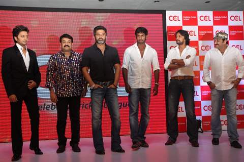 Celebrity Cricket League T20 2012