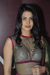 Ankita Shorey at Gitanjali special preview of the exclusive Jewellery