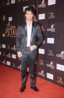 Karan Wahi at Colors Golden Petal Awards Red Carpet Moments