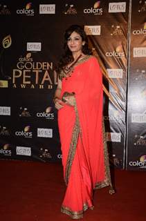 Raveena Tandon at Colors Golden Petal Awards Red Carpet Moments