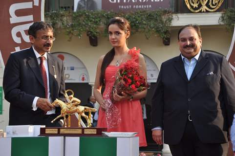 Bollywood actress Shazahn Padamsee at the Gitanjali Indian 1000 Guineas race (Grade I) 2012 in RWITC, Mumbai.