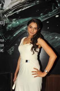 Bollywood actress Andrea Jeremiah at film the Vishwaroop press meet at Hotel JW Marriott in Juhu, Mumbai.