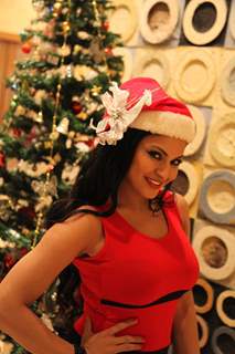 Veena Malik wants to meet Santa Claus