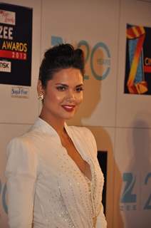 Esha Gupta at Zee Cine Awards 2013