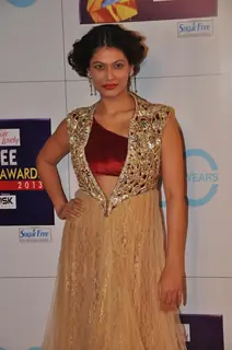 Payal Rohatg at Zee Cine Awards 2013