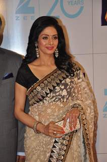 Sridevi at Zee Cine Awards 2013