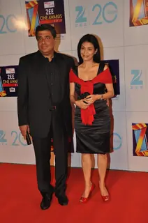 Zee Cine Awards 2013
