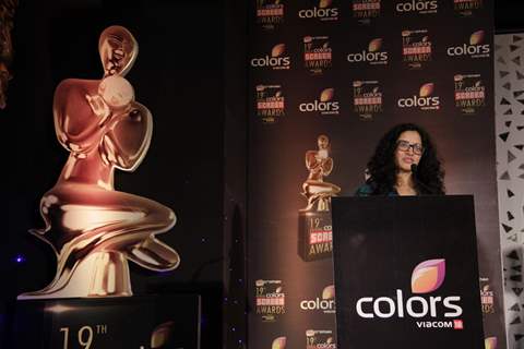 Press Meet Screen Awards 2013