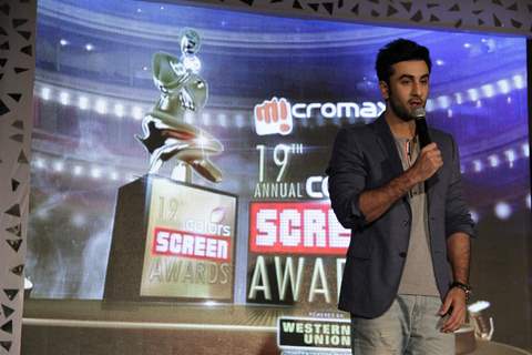 Press Meet Screen Awards 2013