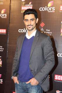 Colors Screen Awards 2013