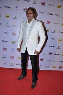 Red Carpet of '58th !dea Filmfare Awards 2012' Nominations Party