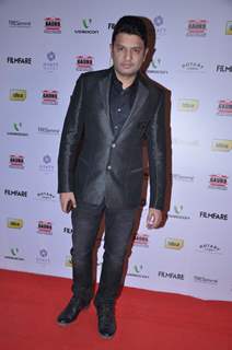 Red Carpet of '58th !dea Filmfare Awards 2012' Nominations Party