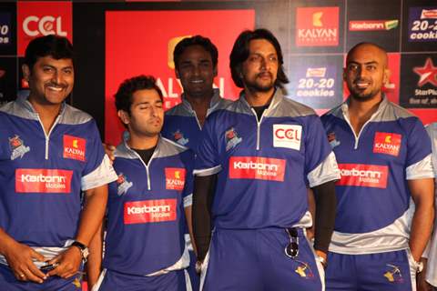 CCL Red Carpet 2013