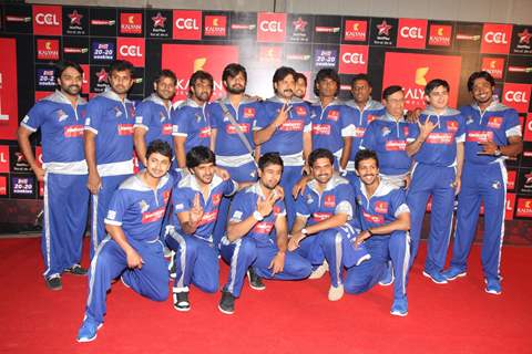 CCL Red Carpet 2013