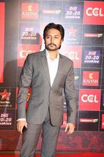 CCL Red Carpet 2013