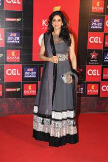 CCL Red Carpet 2013