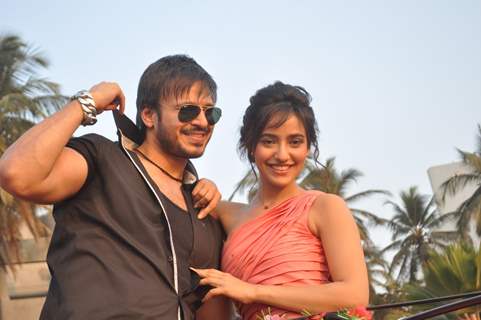 Vivek Oberoi In Jayntabhai Ki Luv Story stills 5 | Movie Trailers -  News,Previews,Photos From Bollywood And Hollywood