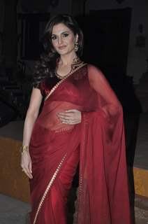 Monica Bedi in Sanjay Leela Bhansali's new show Saraswatichandra on Star Plus